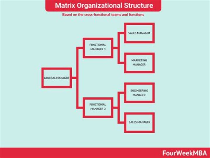 What is a matrix in an organization?