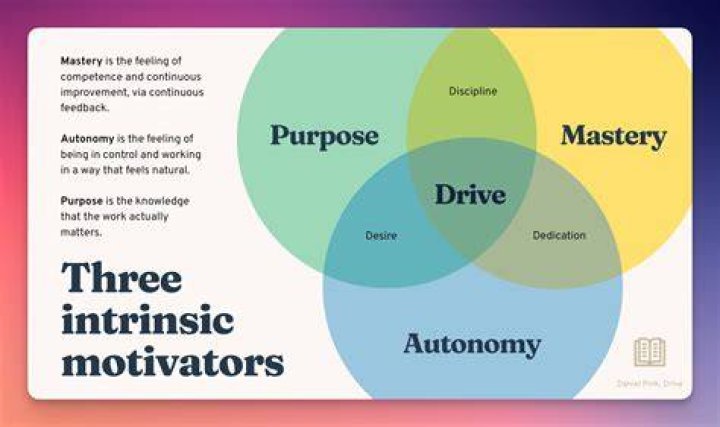 What is a motivator in coaching?