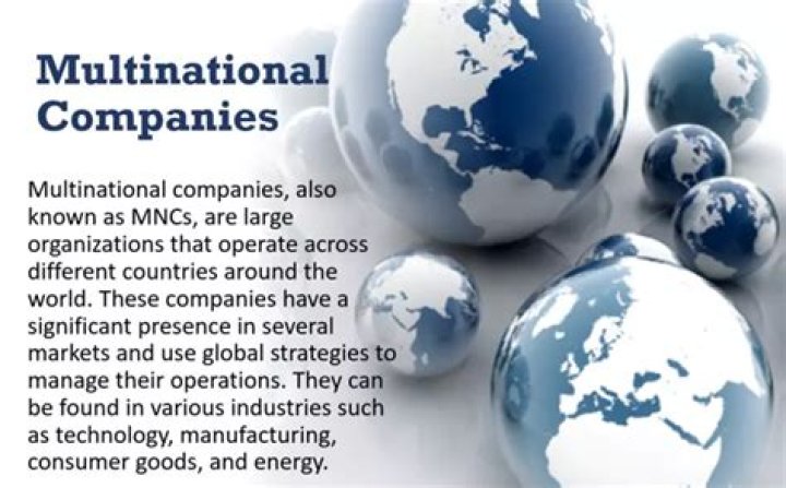 What is a multinational and a conglomerate?