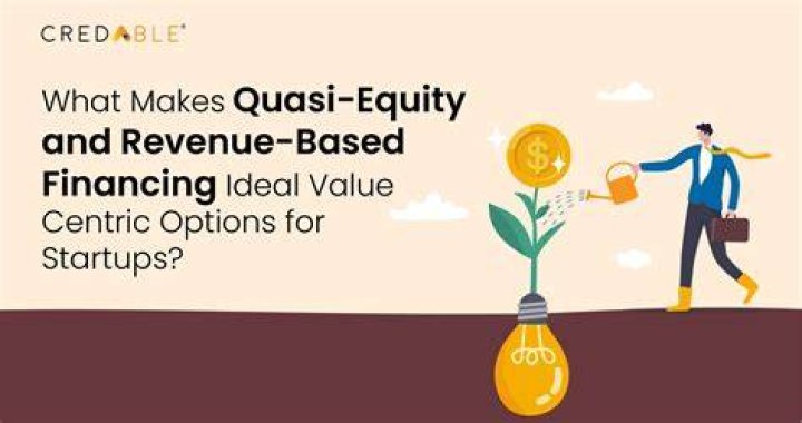 What is a quasi equity investment?