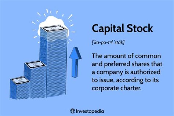 What is a simple definition of stock?