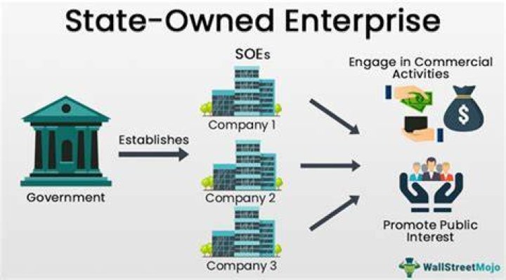 What is a state owned enterprise called?