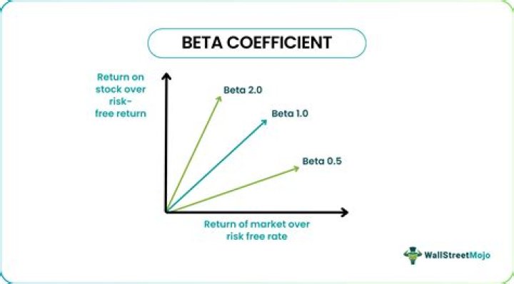 What is a stock beta coefficient?