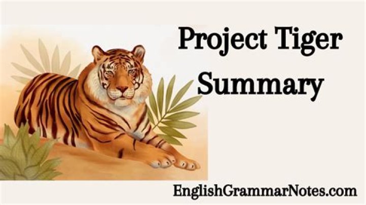 What is a Tiger summary?