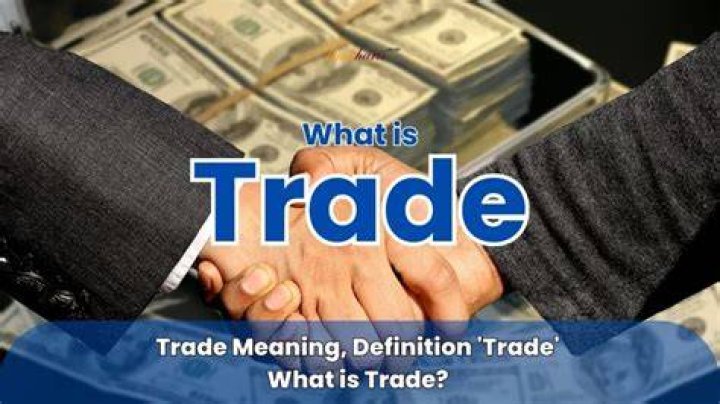 What is a trade business meaning?