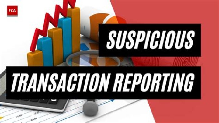 What is a transaction report used for?