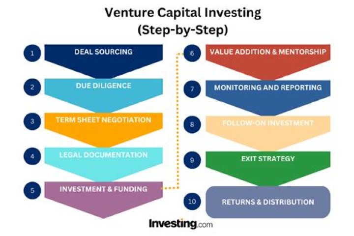 What is a venture capital fund manager?