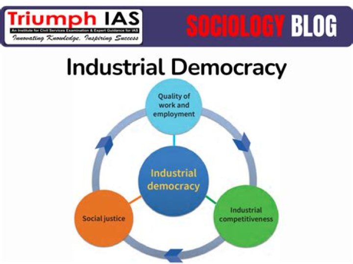 What is advanced industrial democracy?