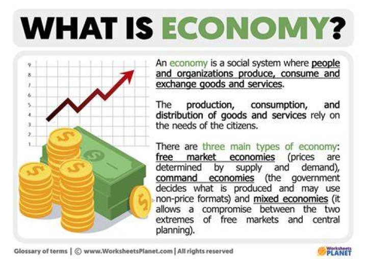 What is an economy example?