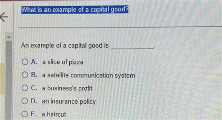 What is an example of a capital good?