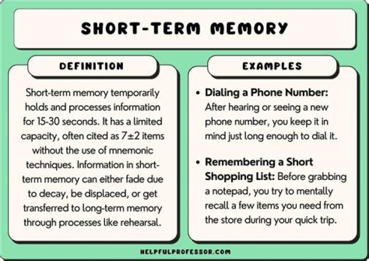 What is an example of short term borrowing?