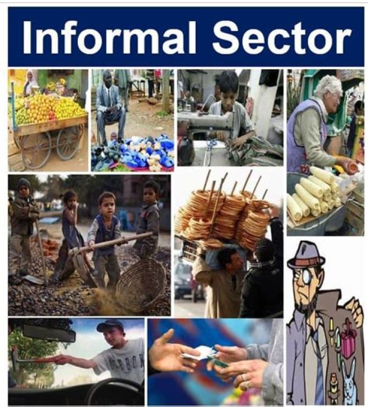 What is an informal business sector?