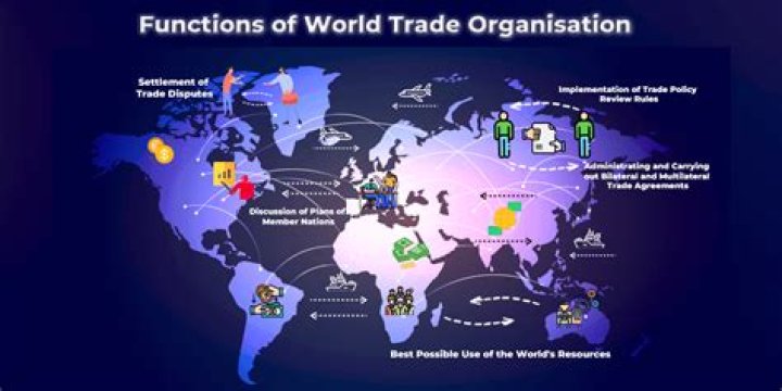 What is an international trade manager?