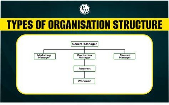 What is an organization type?