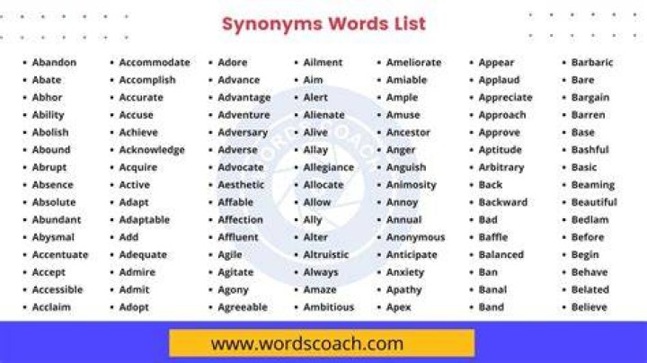 What is another word for a person that cleans?