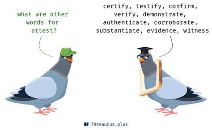What is another word for attest?