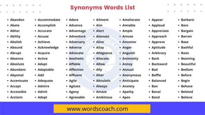 What is another word for lame excuse?