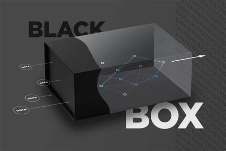What is black box technology?