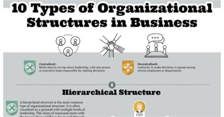 What is business and business organization?