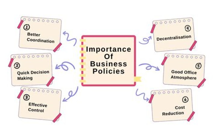 What is business policy and its importance?