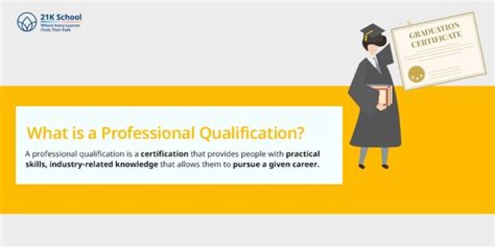 What is CA professional qualification?
