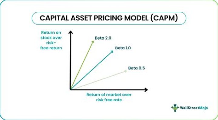 What is CAPM in equilibrium CAPM implies?