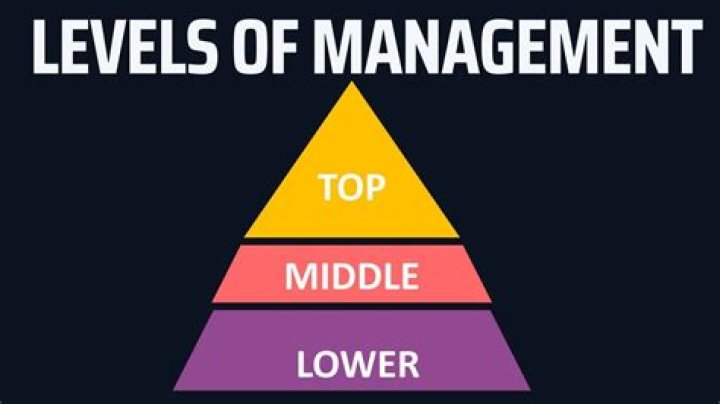What is considered a mid level manager?