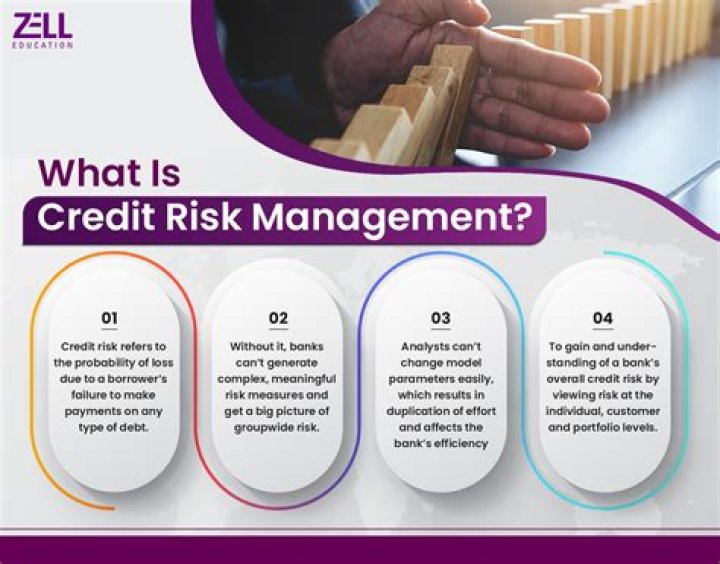 What is credit risk in equity?