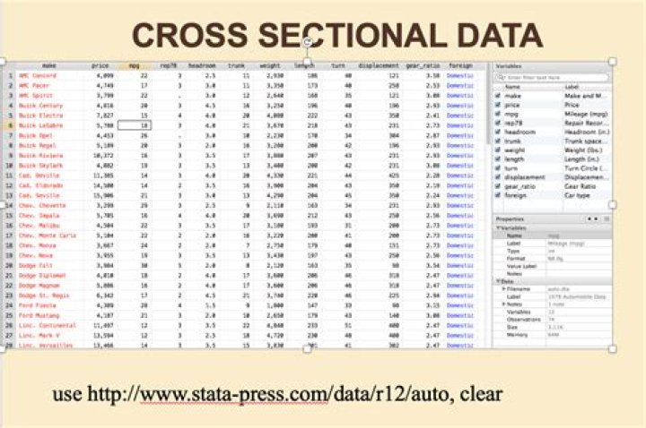 What is cross section time series?