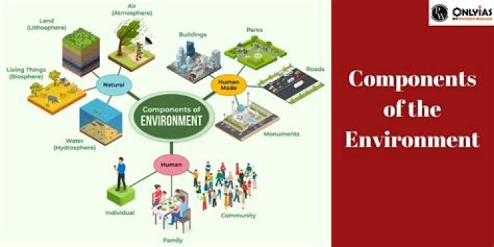 What is external environment and its components?