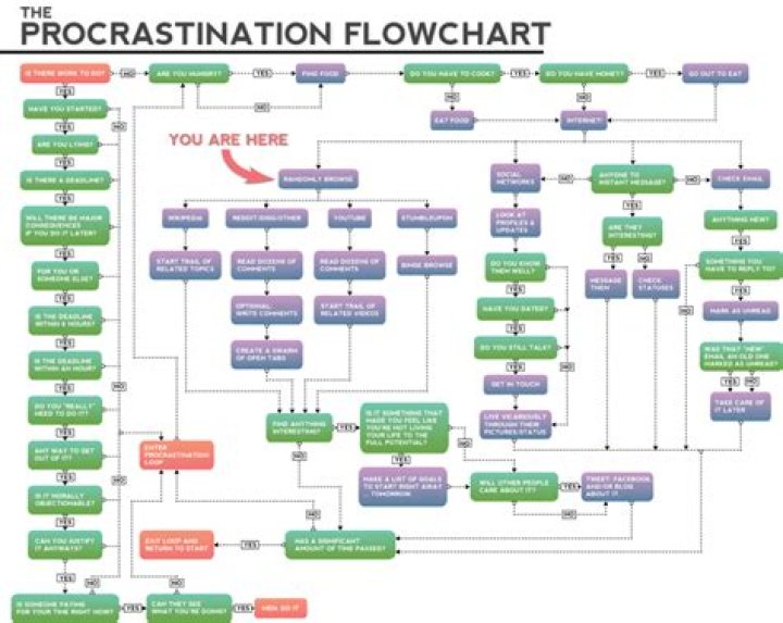 What is flowchart short answer?