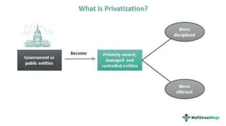 What is government privatization?