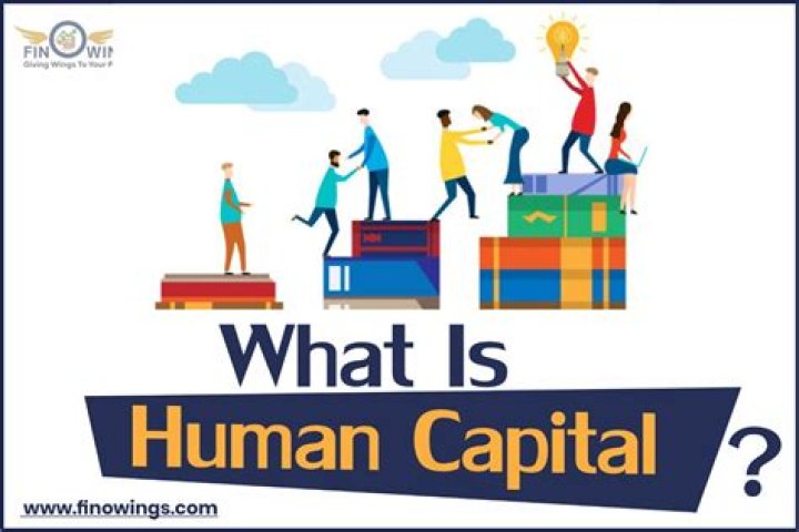 What is human social capital?