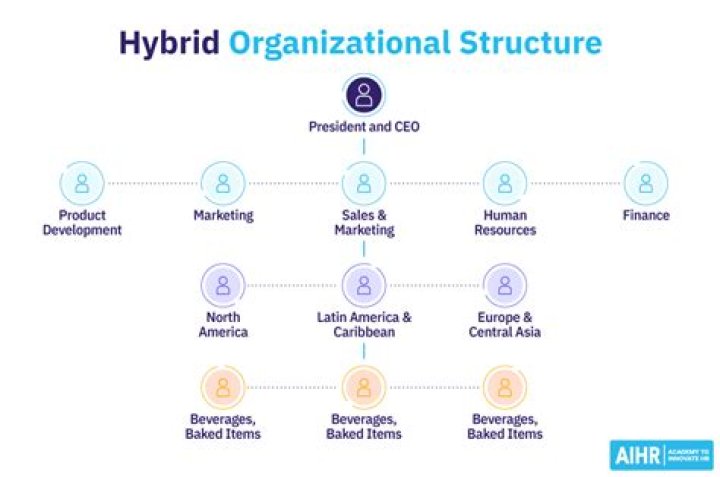 What is hybrid system and example?