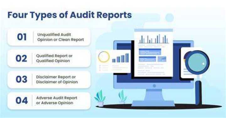 What is included in an audit opinion?