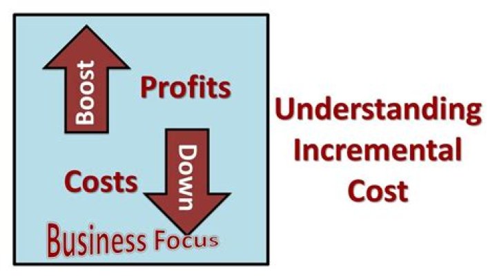 What is incremental cost and revenue?