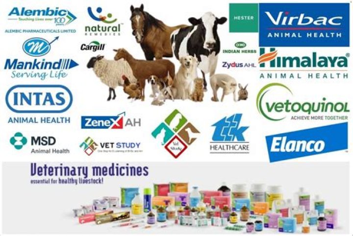 What is Indian veterinary medicine known for?