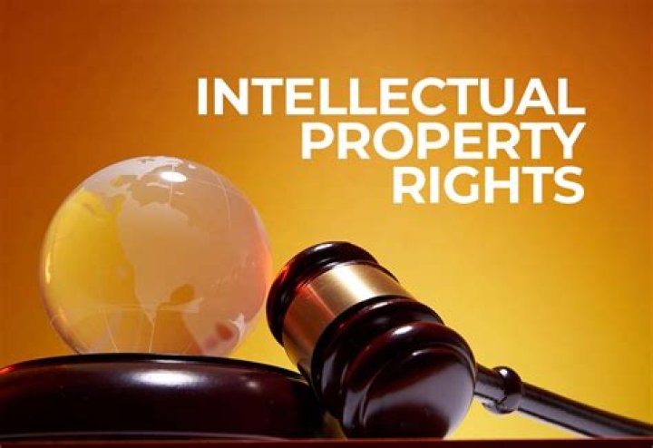 What is intellectual property rights and its objectives?