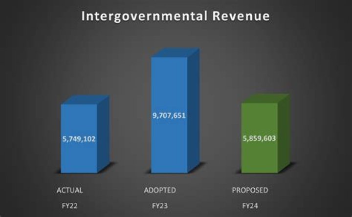 What is intergovernmental revenue used for?