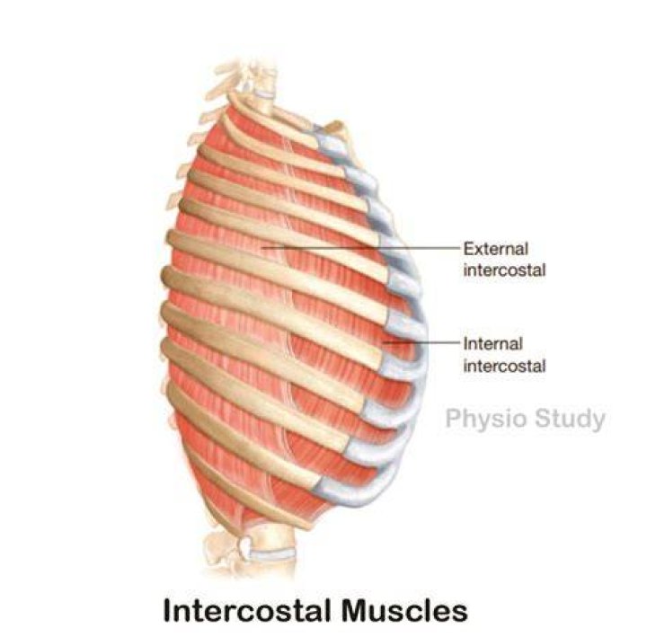 What is internal and external reconstruction?