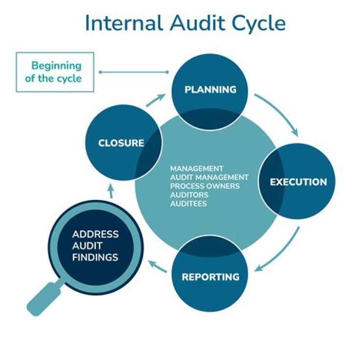 What is internal audit explain its advantages and disadvantages?