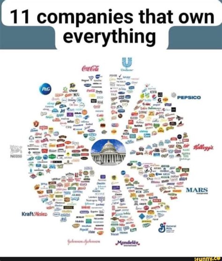 What is it called when one company owns everything?