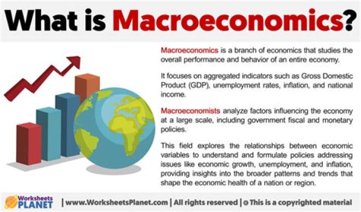 What is Macroeconomics macroeconomic issues in an economy?