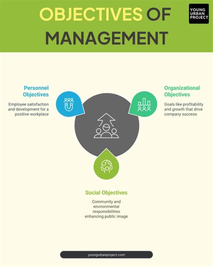 What is management and its objectives?