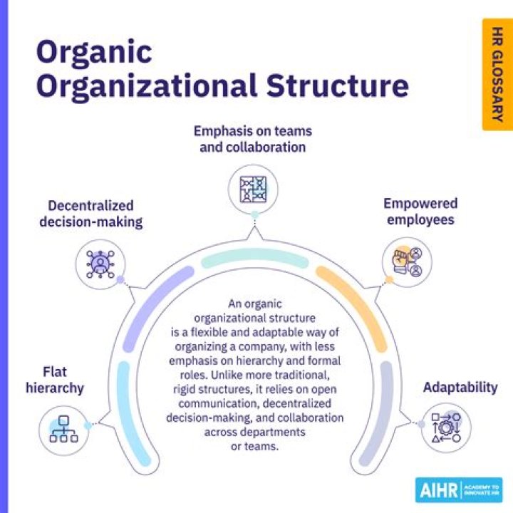 What is meant by organic organization?