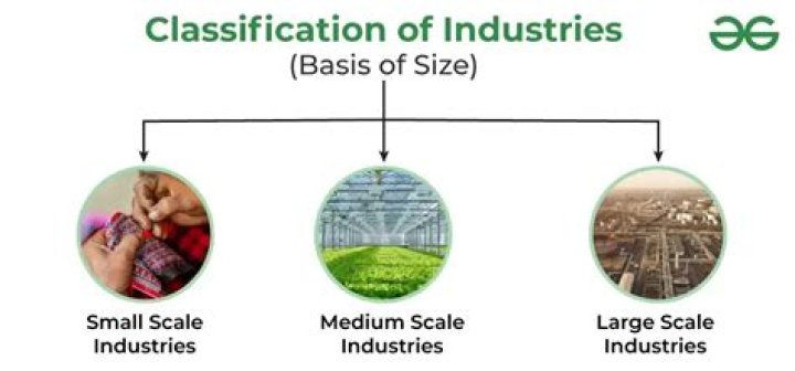 What is medium scale industry example?