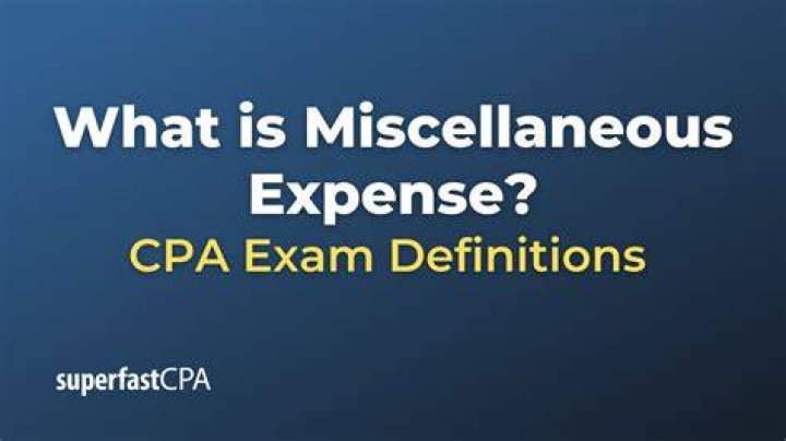 What is miscellaneous expenses asset?