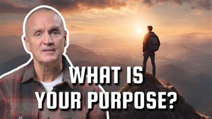What is Morrisons purpose?