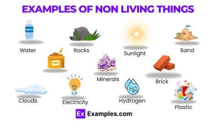 What is non cost items examples?