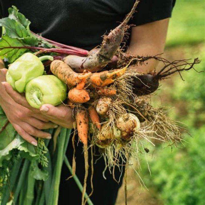 What is organically grown produce?